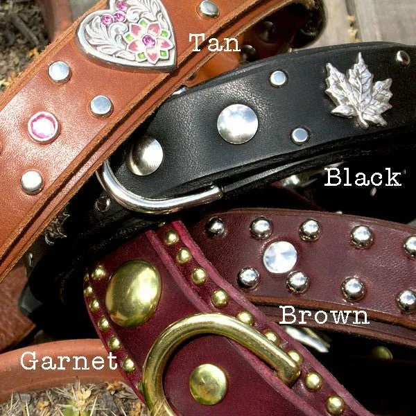 1" WIDE DOG COLLAR/ DOUBLE LAYER LEATHER/ NAMEPLATE