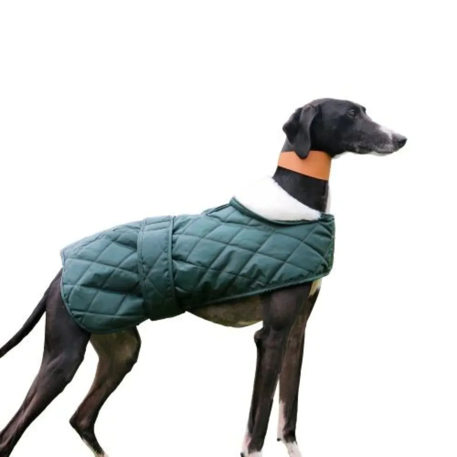 Ancol 53cm Quilted Hound Coat