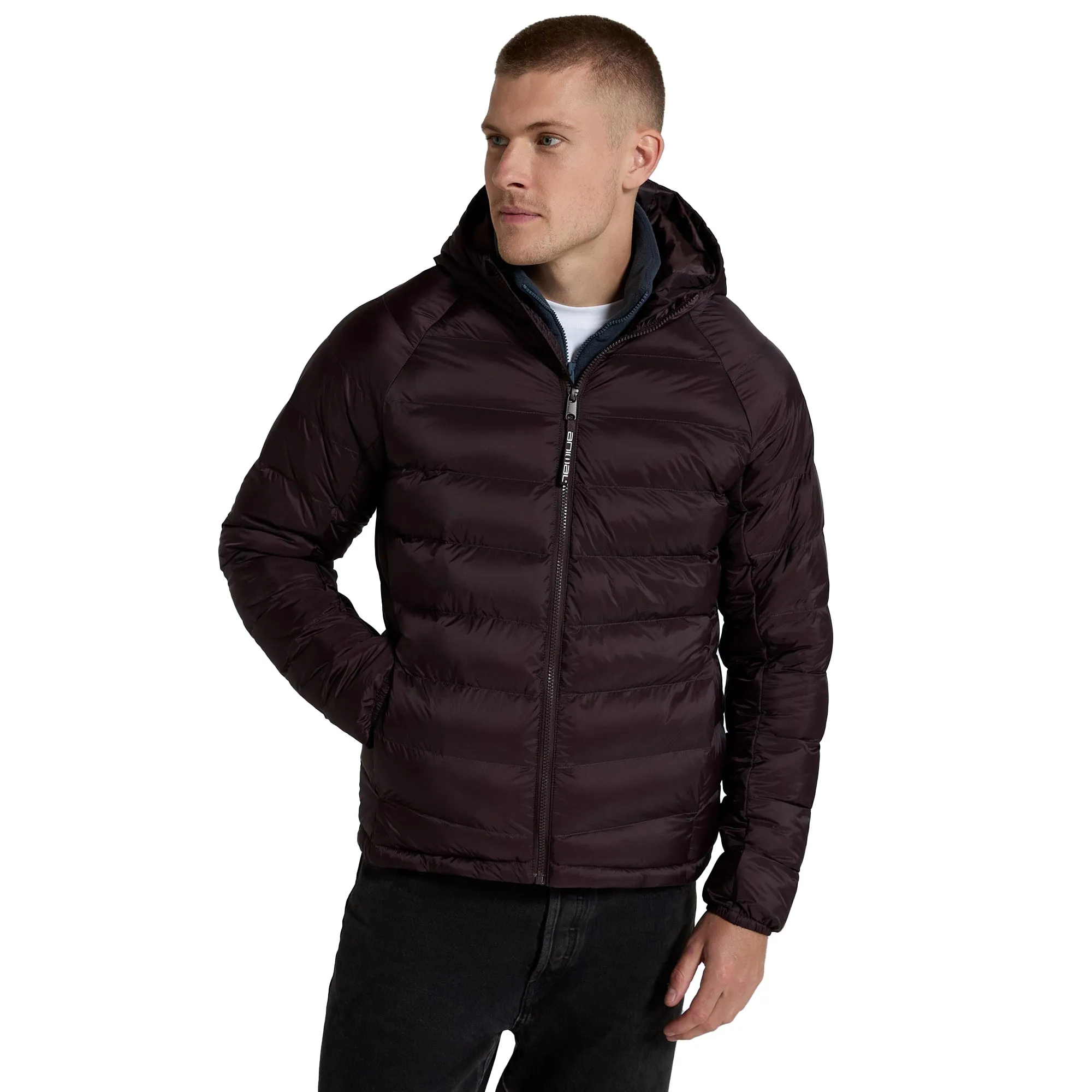 Animal Mens Cloud Cosi Light Padded Jacket