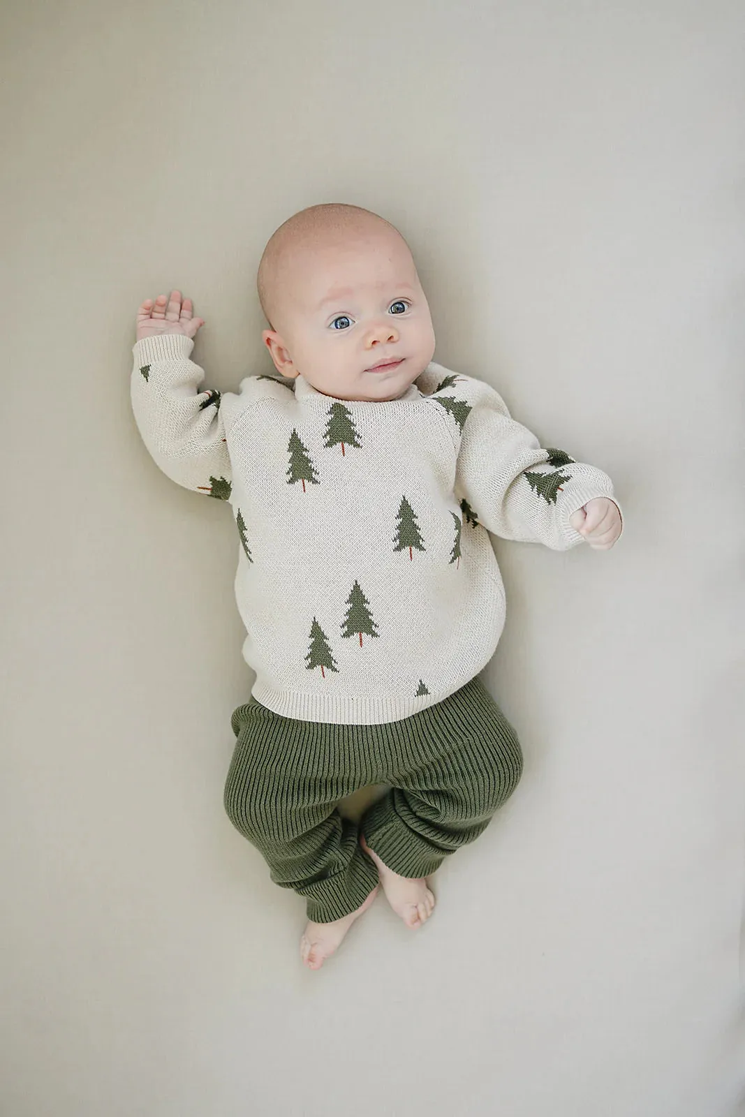 Knit Sweater | Pine Tree