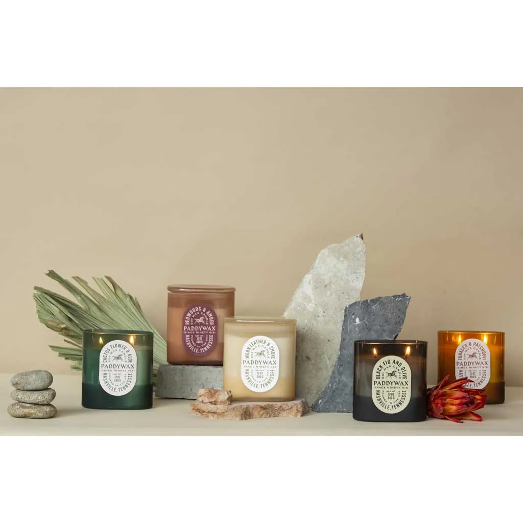 Vista 12oz Candle | Cactus Flower & Aloe